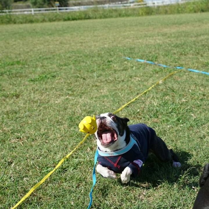 1e2c5c72 f418 4f6b ad44 b906cda3cdf2