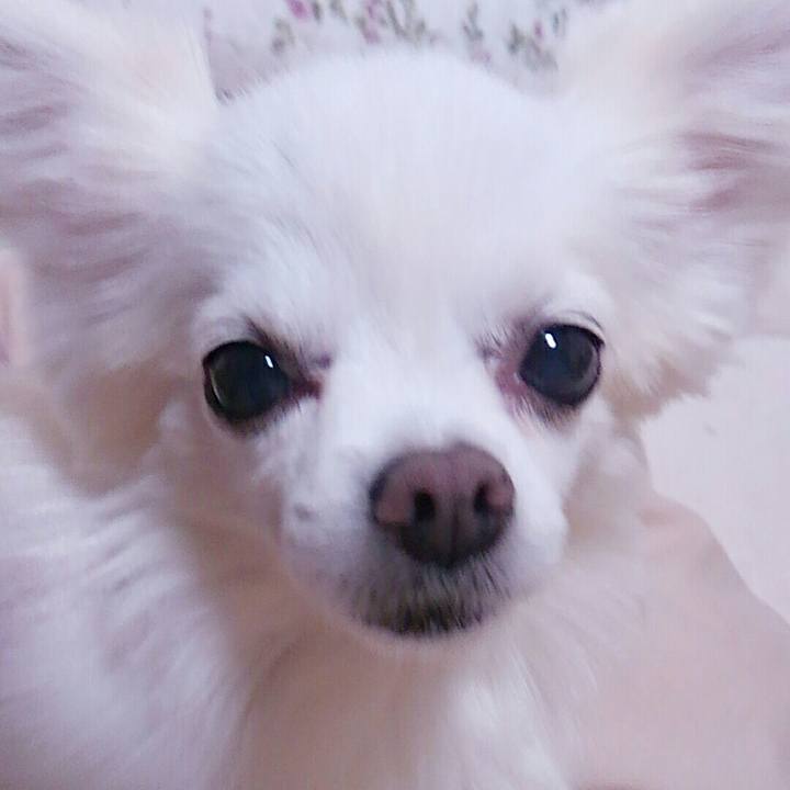 1e2c684e 2ad9 4640 9860 b7c68d3401f5