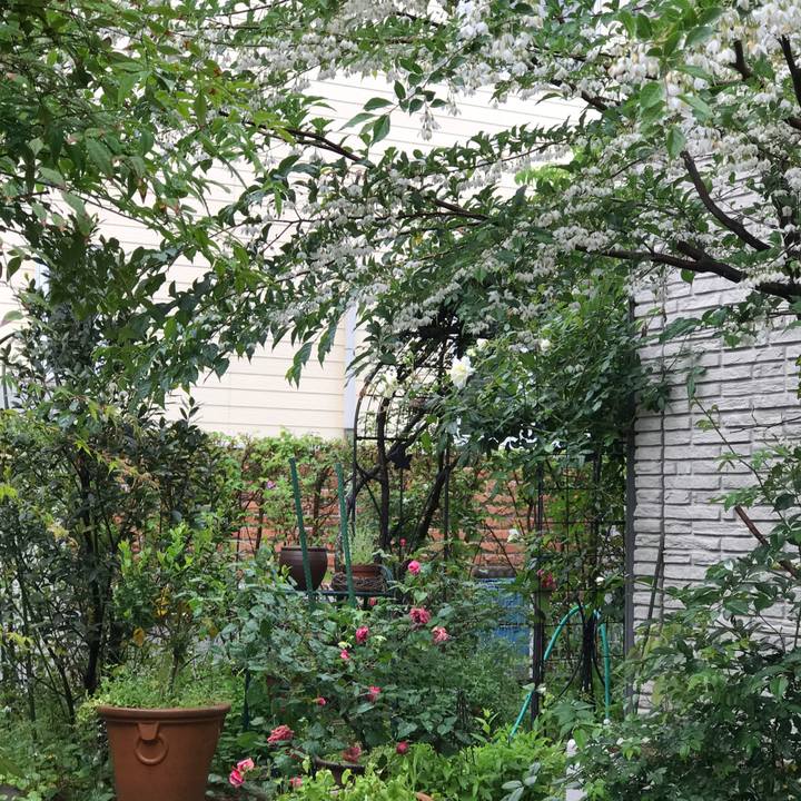 1e2c947c b69e 46b9 9bcc 3a6bdf834ec2