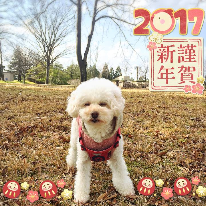 1e2cc925 5c01 44b5 b895 8e59c3f6b3e5