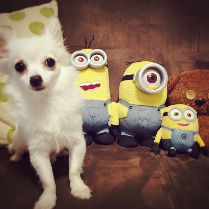 1e2d5423 e492 4427 a82a 9b579d16544a