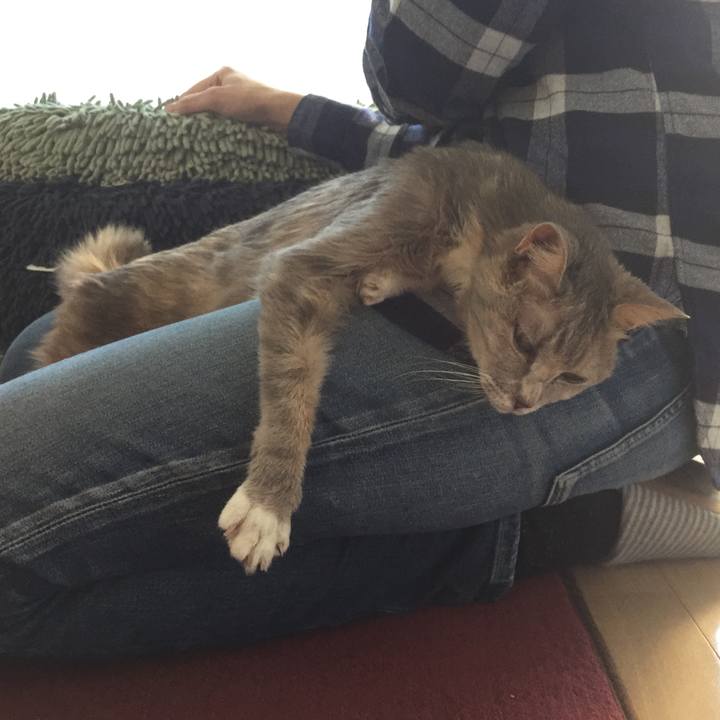 1e2d68bc 0720 4f48 97a7 c57da6242f3c