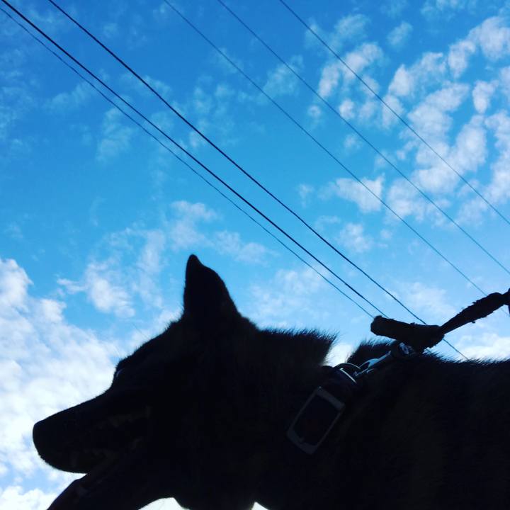 1e2d7410 7e70 4ee5 973a 7bd806447696