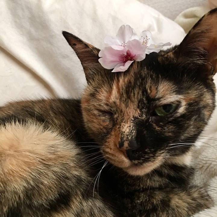 1e2e4eac 5ae1 445a 8e6b 5a2d6be1c5c9