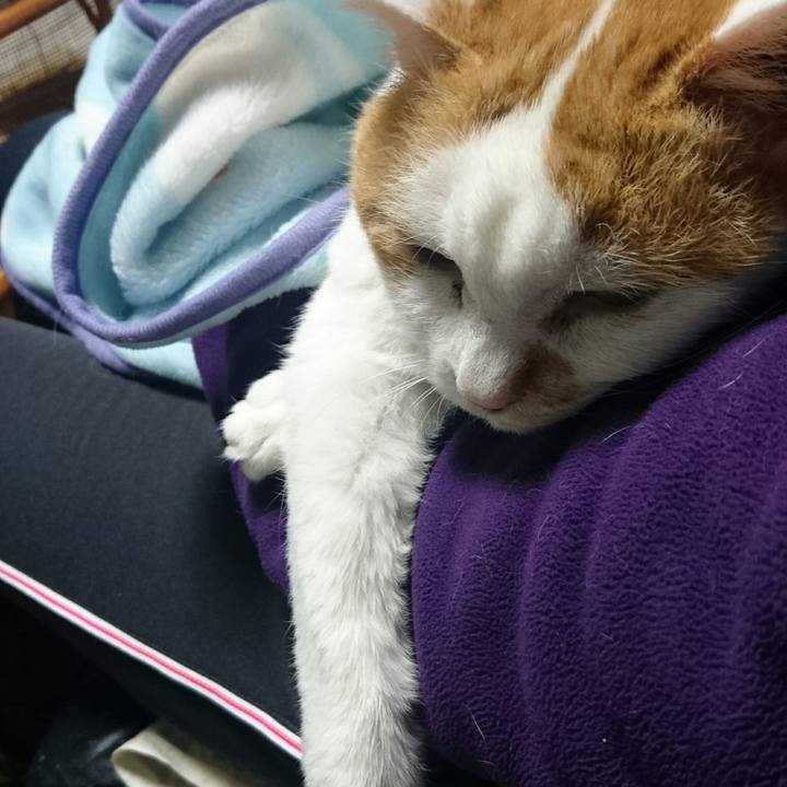 1e2e637a f467 4016 80a7 eefab250159d