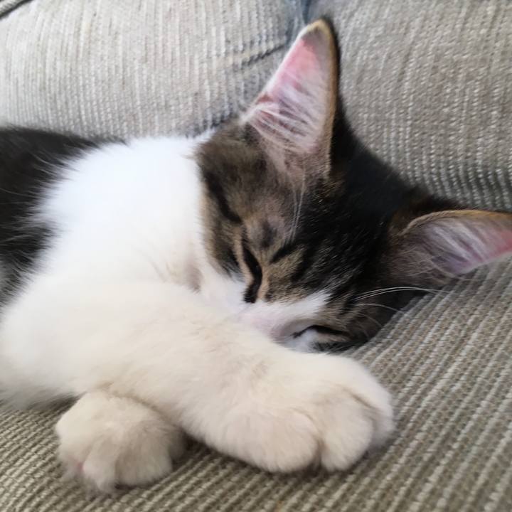 1e2ebb7d 8eaa 4a15 83c0 edc74eb22760