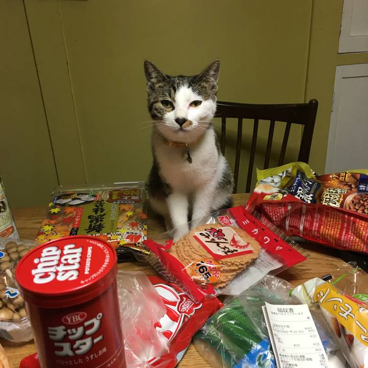 1e2eeacc 3f15 4af2 9c85 408195b8fcf2