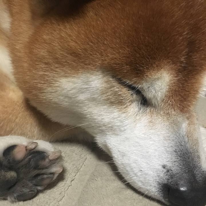 1e2f2bfd 362a 4737 ab38 56cc4d725a14