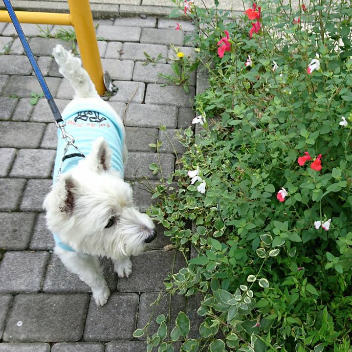 1e2f6aea ea16 4f3e a05f 143eae54957b