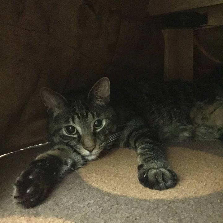 1e2fd658 7bd4 41c6 af52 649cdf9f3e7f