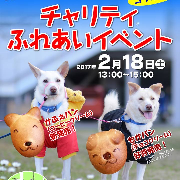 1e3014d5 c82f 4680 94cb 2c50d5dfc751