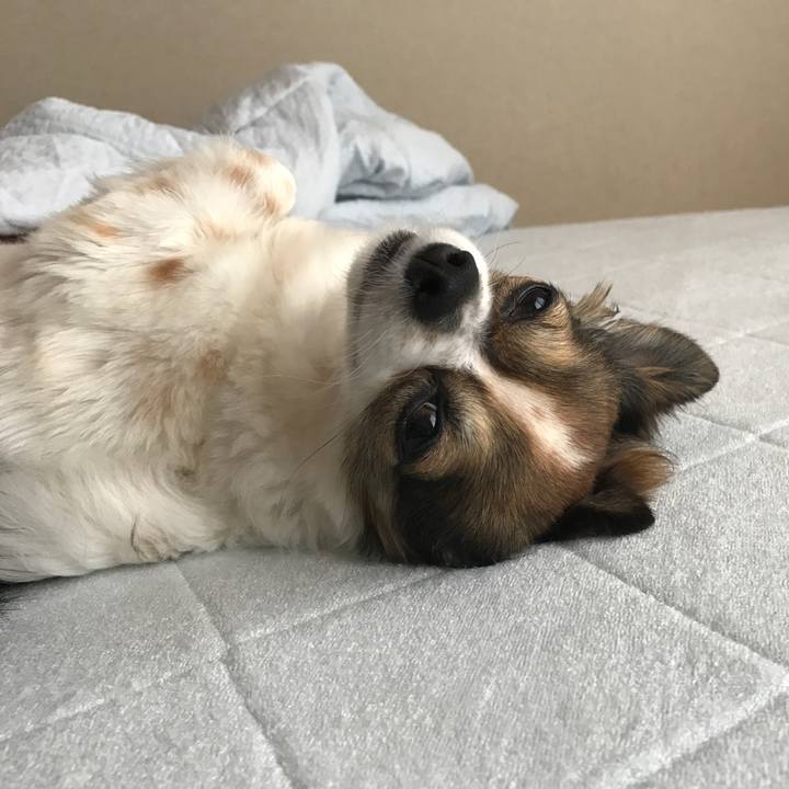 1e306c63 b080 405b bbeb 8292fc3a5189