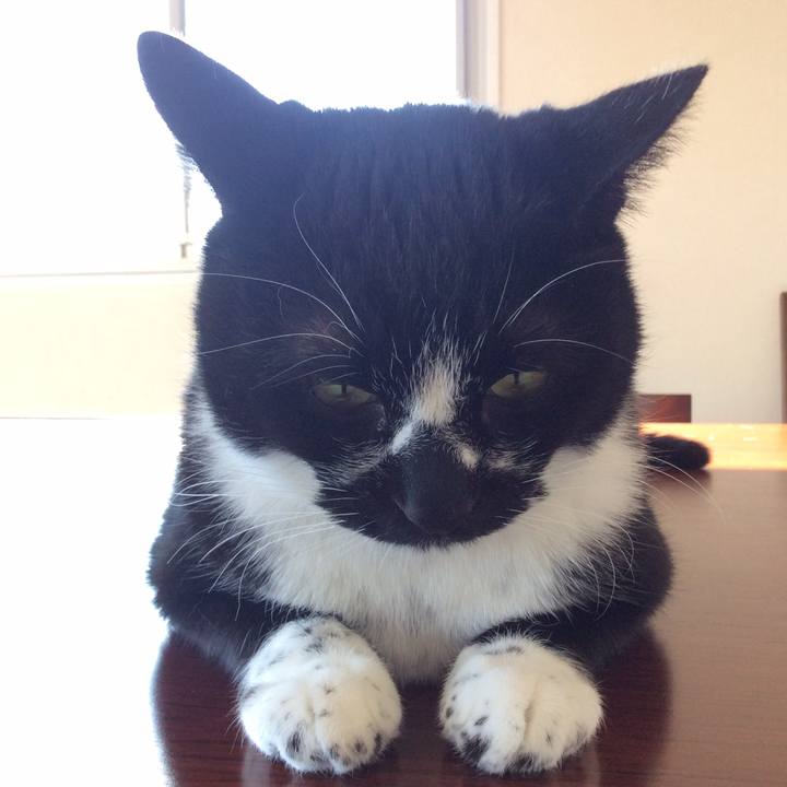 1e30d129 4127 45b0 b433 7ce8633f1c70