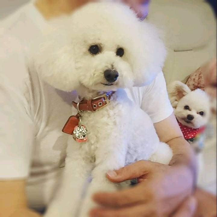 1e3103f8 3bce 4130 a062 c628707a746d