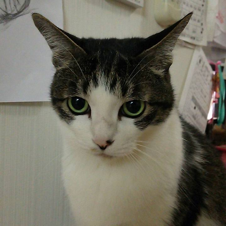 1e3128c4 9a3f 4990 b537 a11a4a21c8a3