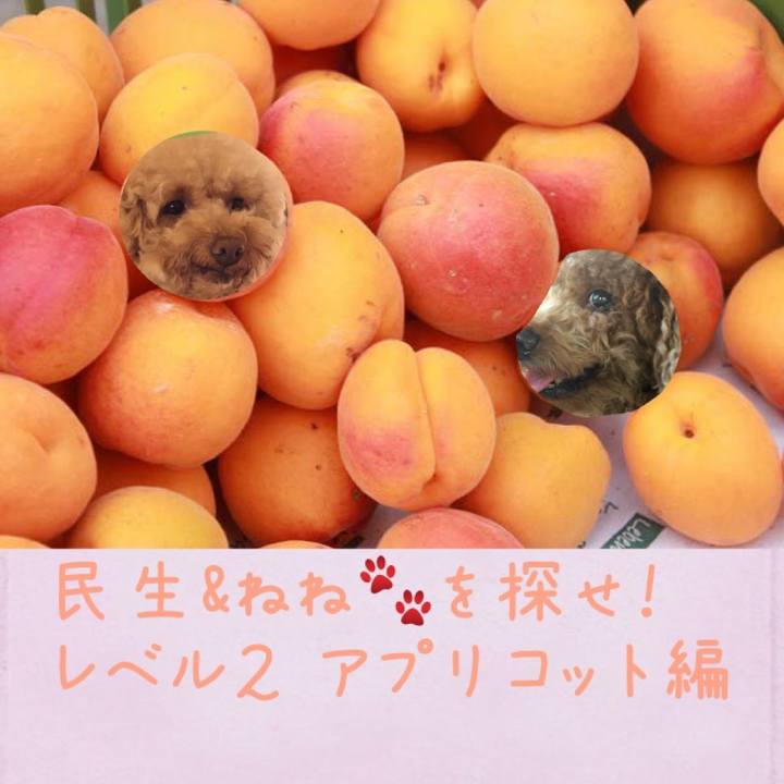 1e3152f2 938a 45cf af54 ee1d91037f8a