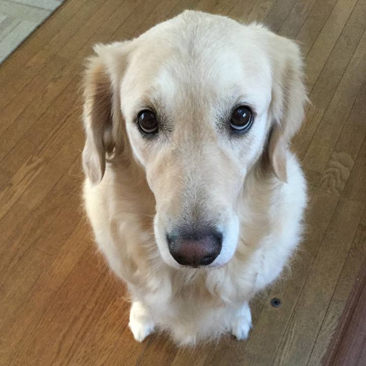 1e317733 ed9f 4e1f b269 6c40ff7b3158