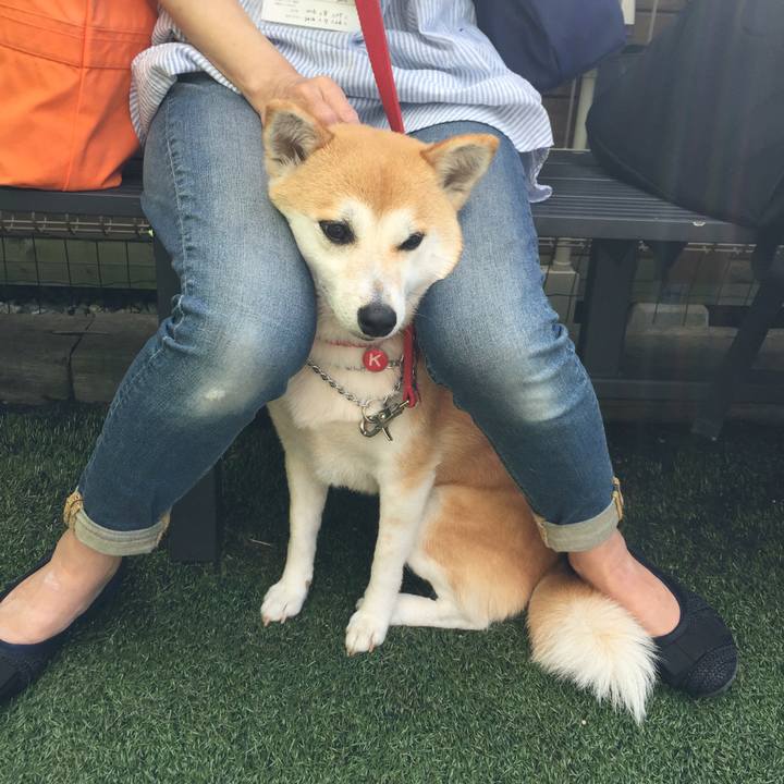 1e318274 3a77 4eff af9c e09a9a67aacc