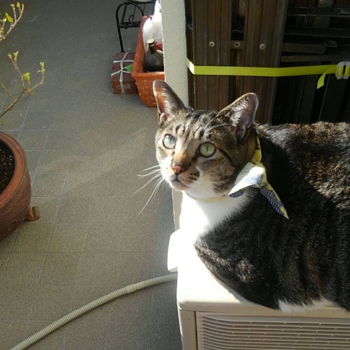 1e31e9bc 63a2 4bca a083 1ff3f7890320