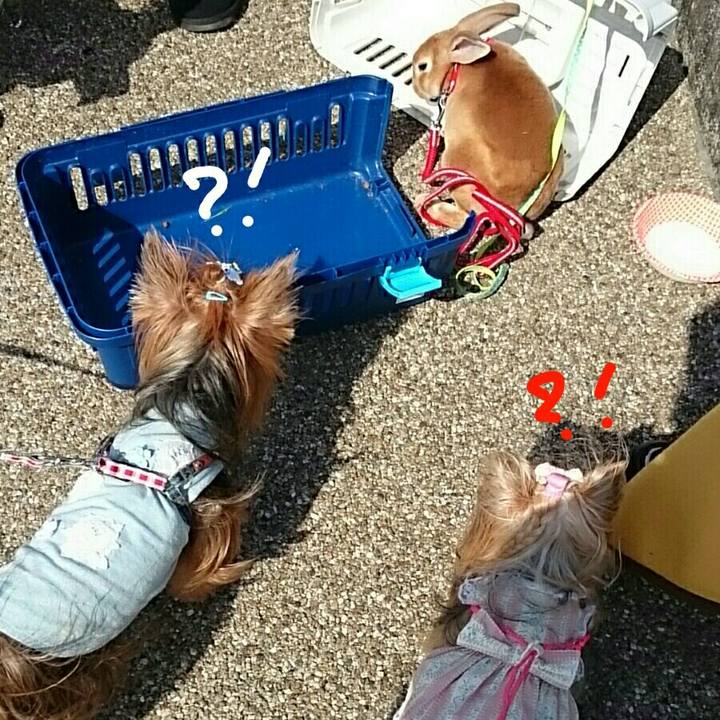 1e32ca79 14fb 490f 8da1 e4be64da7504