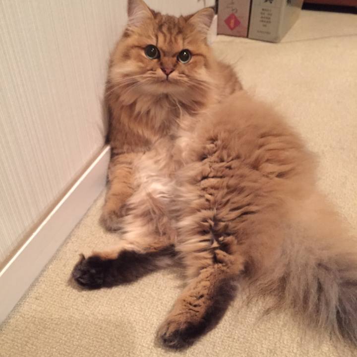 1e330d4a 524b 4a91 ab2c 88b5de37f398