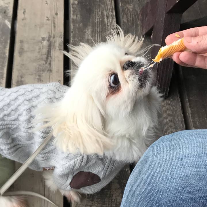 1e339630 acbf 4d09 b382 2a6c12994be7