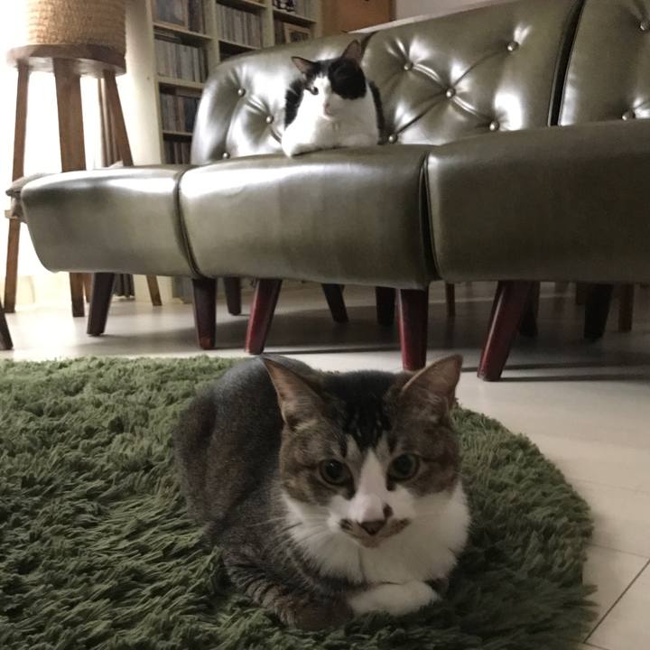 1e347ef7 3408 415e b95b 7ecd7d748bd8