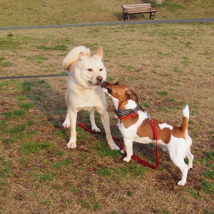 1e34ed11 3468 4c9b 8e33 914ab32b444e