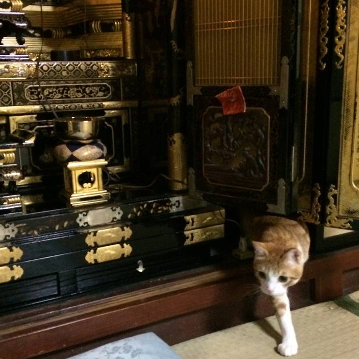 1e350893 0652 4546 8c63 eb6277276408