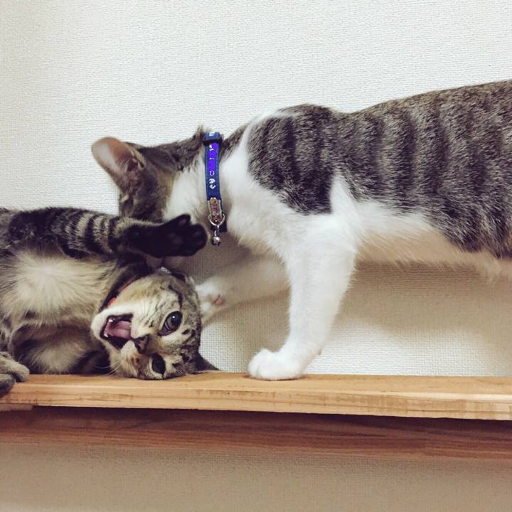 1e353054 d520 415b af5d e0bb38957427