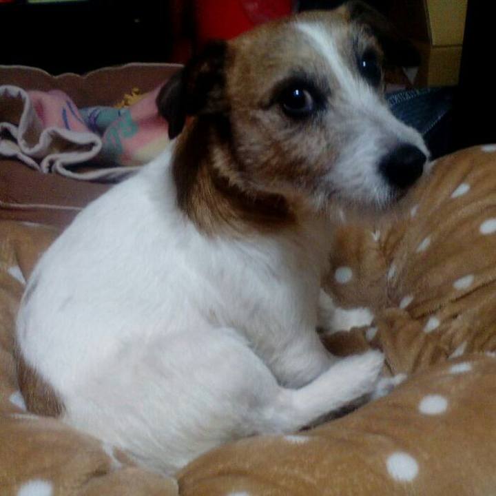 1e354373 a775 434d 9825 1a05d9dc8c4a