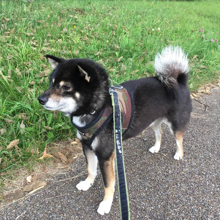 1e35471e ccb3 4a24 86e7 23a0d2ffc3b7