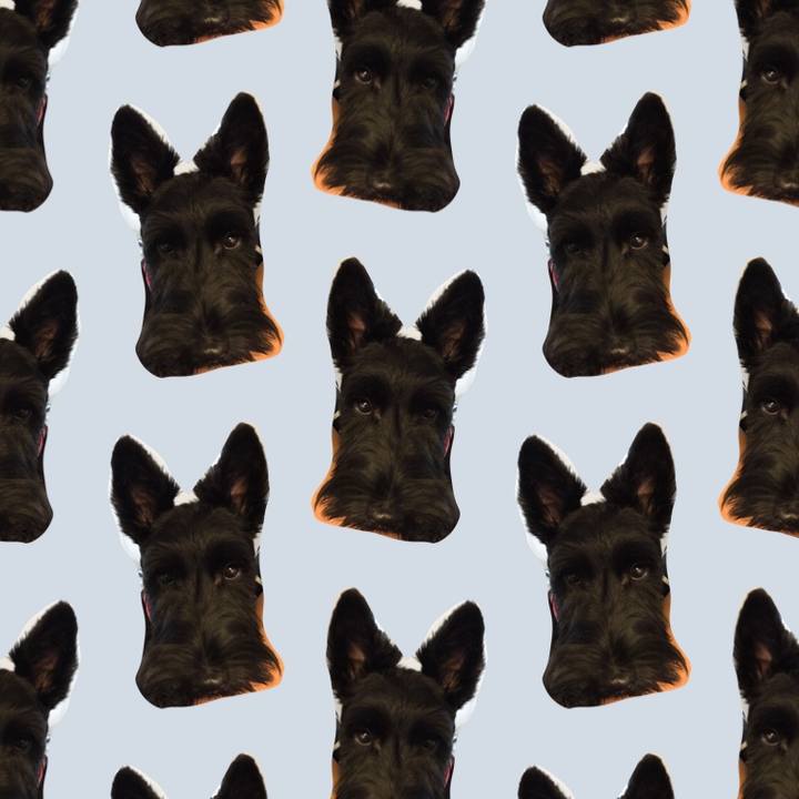 1e355af8 aee8 422e a48b 3e521eb60bff