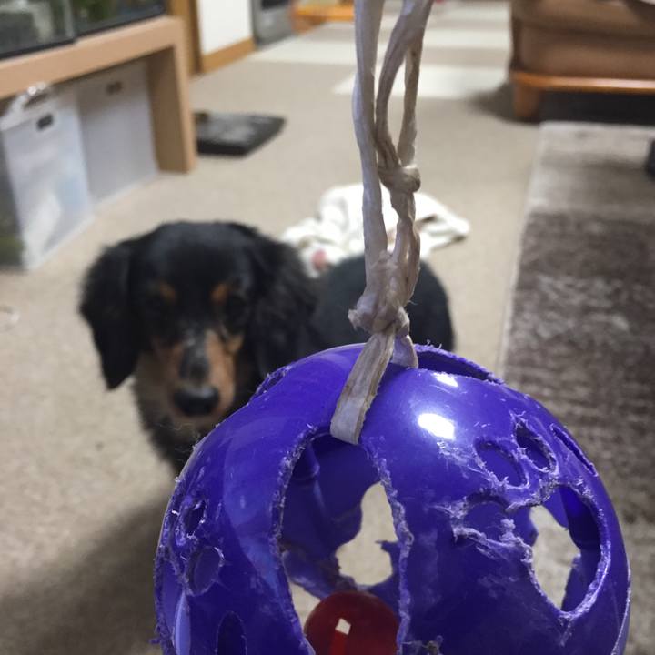 1e357ec1 399c 49c6 8900 35396bcff349