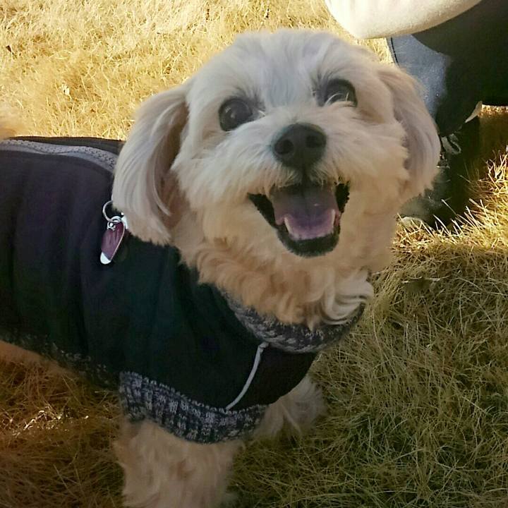 1e35c6f9 40e9 44aa 8df1 af8243589595