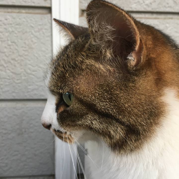 1e35cb82 6ba9 4012 a217 3f8a9d9a607b