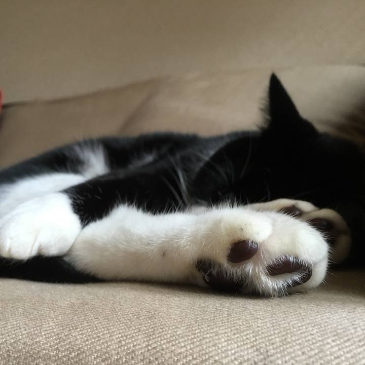 1e35f25f 508b 4961 a14d e0d27d564fa5