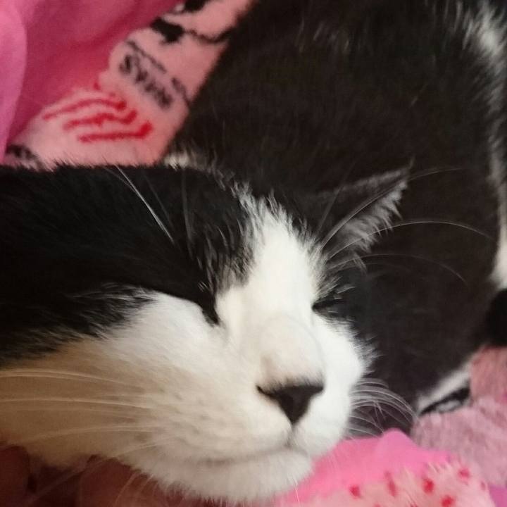 1e35fa0e 0038 48a7 81e8 616f62897fcf