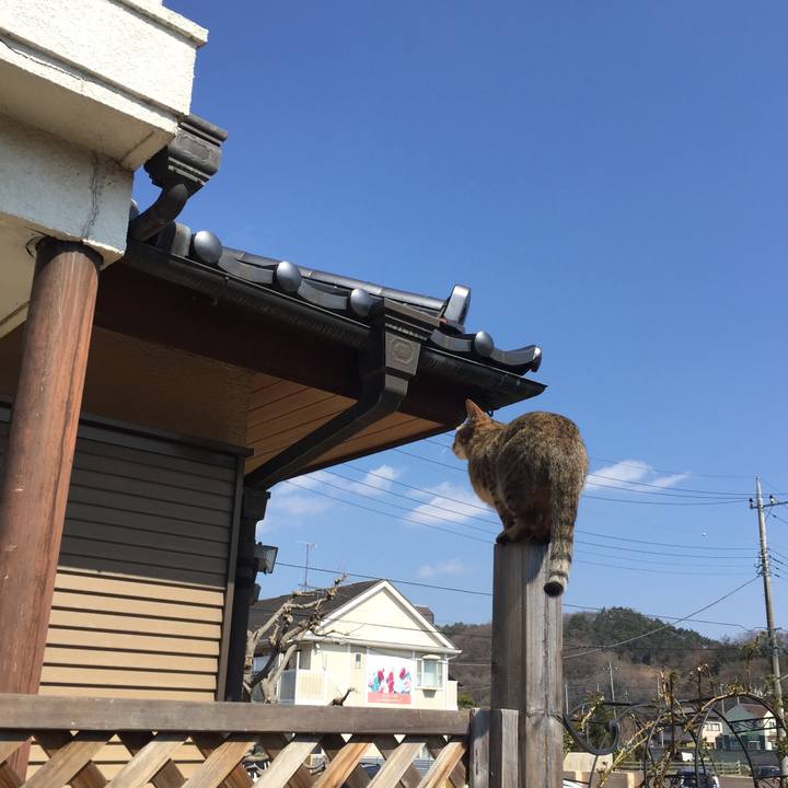 1e372f98 9f9e 4f40 97e8 f02214c4d9fc