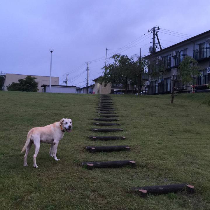 1e392b32 7035 4627 a846 204816a7124d