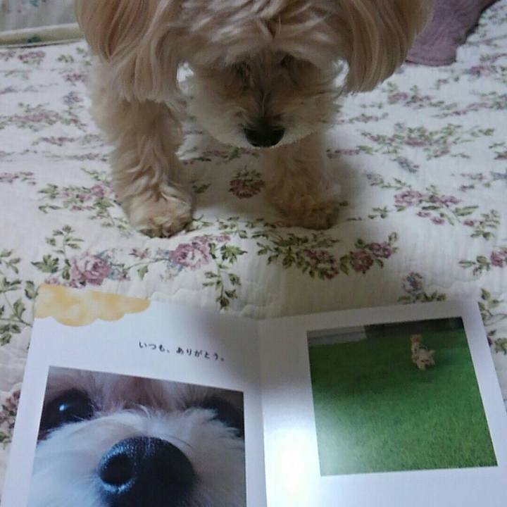 1e394d75 2705 48ea 84b7 9459826f35d7