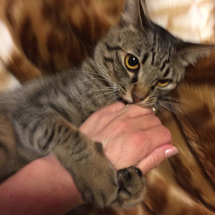 1e39e5cf c2bd 4316 9717 9e21c9c31ce6