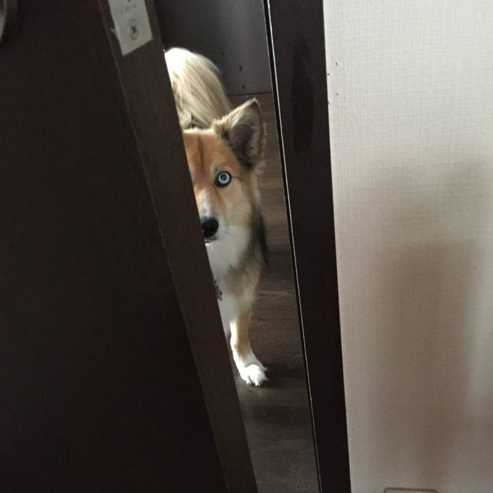 1e39f09c 67a3 4d08 ba6e 71ef8028a3bf