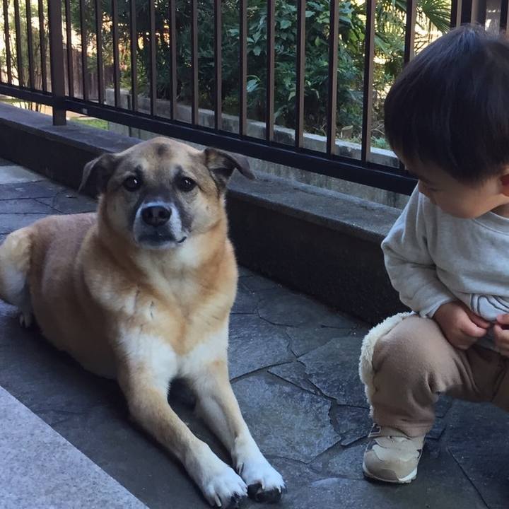 1e3a803a 0fcb 407f a995 308c7e311a31