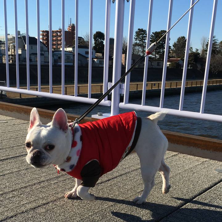 1e3a8f57 3251 49fa 90f3 a9fd8e75778f