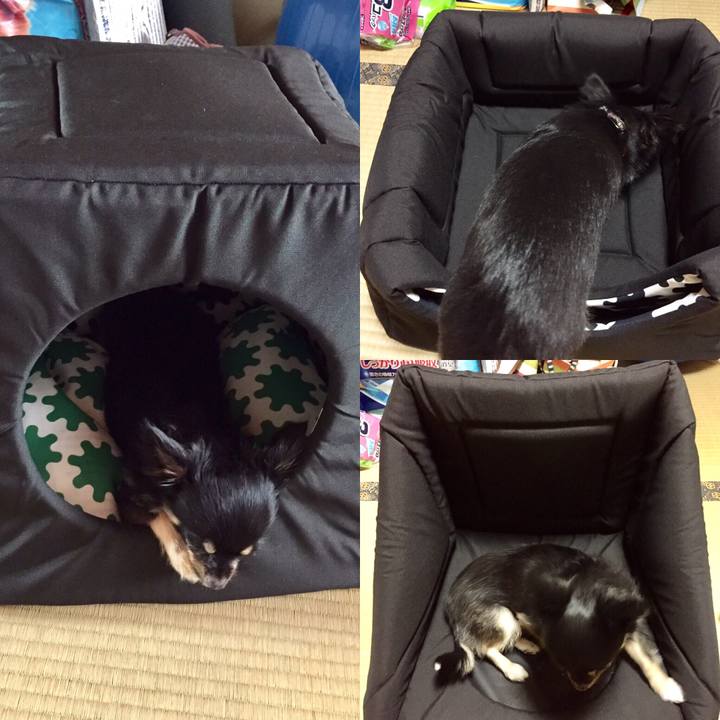 1e3aa4f3 0bc1 46f6 90e5 09c425ddbe52