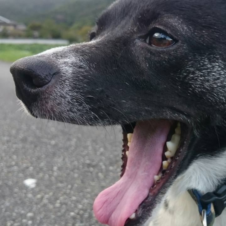 1e3ad89c b103 4ea7 850f c4029f09fd24