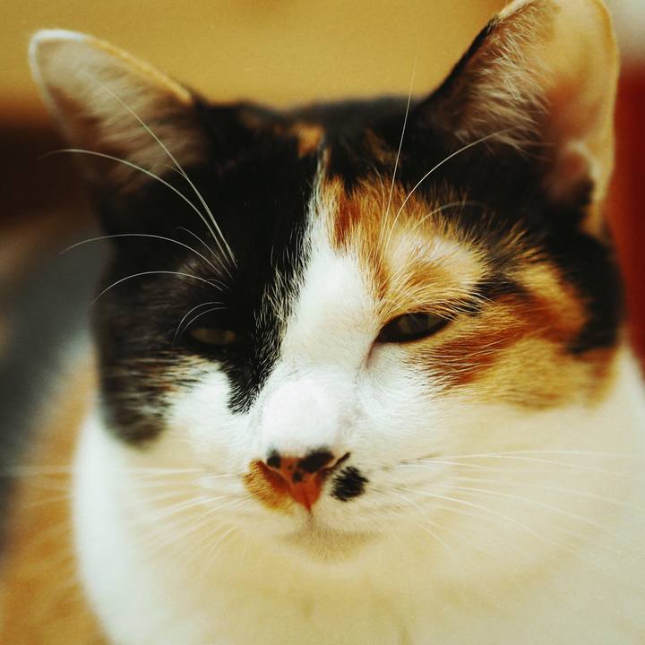 1e3aed68 9c41 4589 9854 e4b61d59dd95