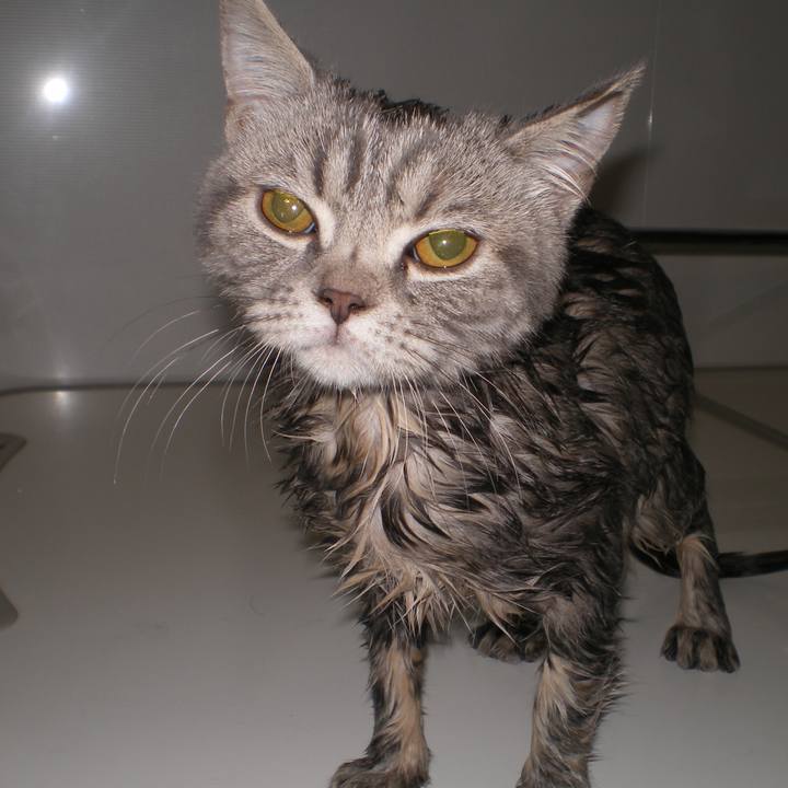 1e3aee7e d403 4ca9 a9ba 19093765f426