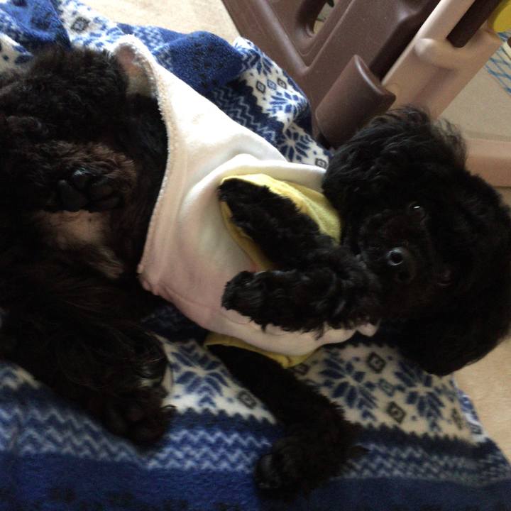 1e3b819b fd18 4f07 9534 94cb0c2981b6